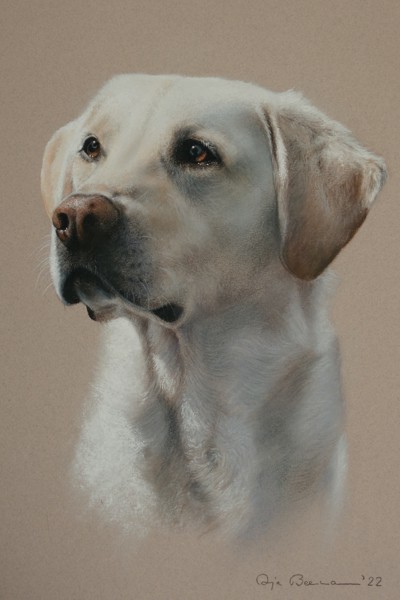 Portrait eines Hundes