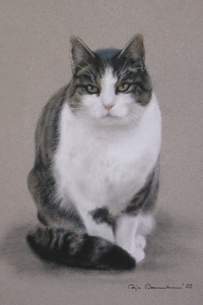 Portrait einer Katze