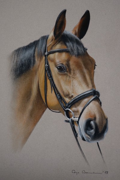 Portrait eines Pferdes